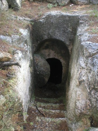 Easy Peasy Bible — New Testament